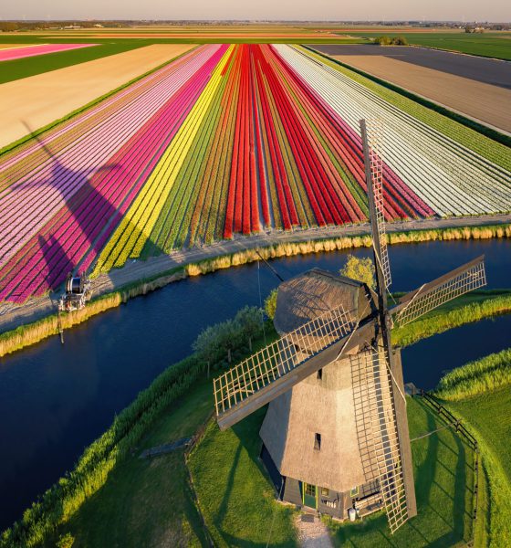 5-1-Classic-Dutch-90x60-Dibond-EUR-350-2-scaled-1